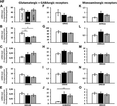 Behavioral Training Related Neurotransmitter Receptor Expression Dynamics in the Nidopallium Caudolaterale and the Hippocampal Formation of Pigeons